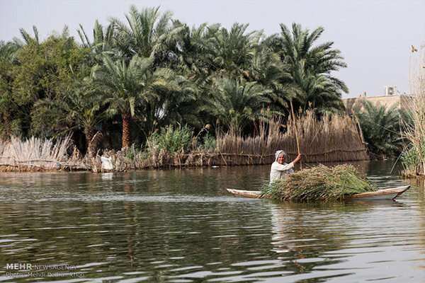 راه خروج آب تالاب شادگان به سمت دریا بسته شود